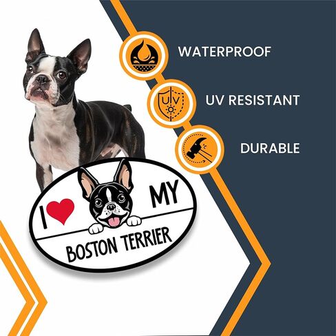 Magnet Me Up I Love My Boston Terrier Dog Breed Car ملصق مغناطيسي، 4 × 6 بوصات بيضاوية، زخرفة رائعة للمركبة، الثلاجة، كلب خاطف لطيف، مغناطيس ممتص للصدمات لمحبي السلالات، صنع في الولايات المتحدة الأمريكية in Kuwait