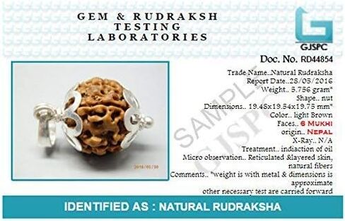 قلادة قلادة من Arihant Gems & Jewels® معتمدة من 4 قلادة Mukhi نيبالية Rudraksha من الفضة الإسترلينية عيار 925، مدلاة خرز Rudraksha أصلية بأربعة وجوه للتأمل، مجوهرات روحية للرجال والنساء in Kuwait