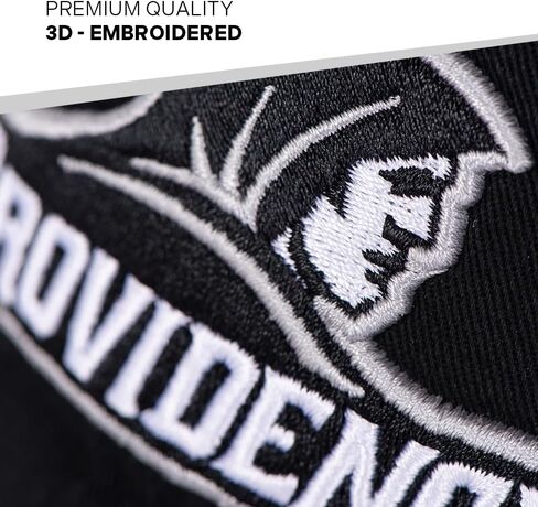 Desert Cactus Providence College Baseball Hat Friars PC Brimmed Embroirderd Hats Cap Adjustable Cloth Strap Adult (Style E) Gray in Saudi Arabia
