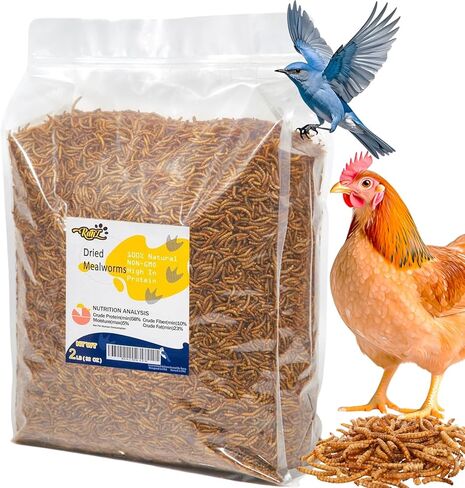 RANZ 10LBS Non-GMO Dried Mealworms for Chickens, High Protein Meal Worms, Premium Chicken Feed, Perfect Bird Food and Chicken Treats, Whole Large Mealworms for Wild Birds, Ducks, Fish in Kuwait