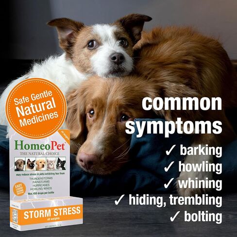 HomeoPet Storm Stress, Storm Anxiety Relief for Dogs, Cats, and Other Small Animals, 15 Milliliters in Kuwait