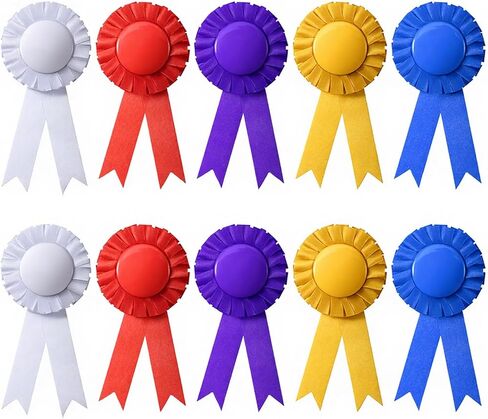 10 Piece 1st Place Rosette Award Ribbons Blank Award Ribbons Winner Victory Participation Ribbon Recognition Ribbon for Sport Event Competition Contests(Multicolor) in Saudi Arabia