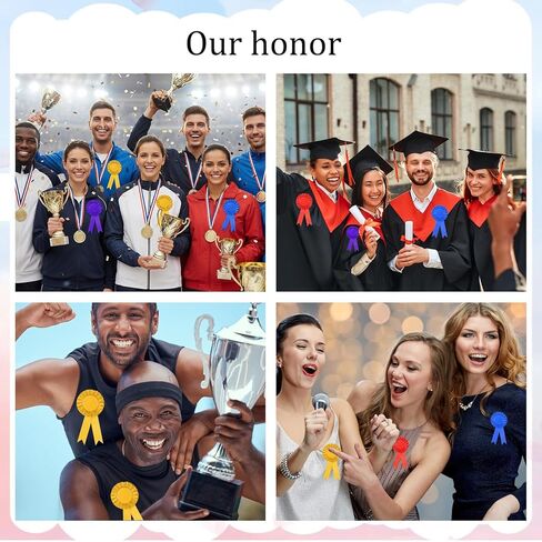 10 Piece 1st Place Rosette Award Ribbons Blank Award Ribbons Winner Victory Participation Ribbon Recognition Ribbon for Sport Event Competition Contests(Multicolor) in Saudi Arabia