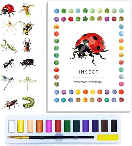 مجموعة كتب ألوان مائية مبتكرة مكونة من قطعتين مع دهانات وفرشاة، و12 نمطًا من تصميمات DIY الأصلية، وكتب تلوين للكبار مناسبة للمبتدئين (الحشرات والفطر) in Kuwait