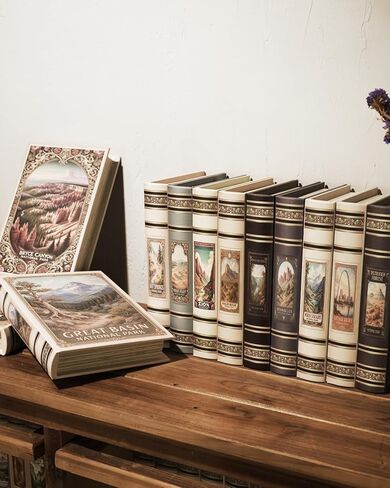 Decorative Wooden Book Box - Vintage Faux Book Boxes with National Park Design, Secret Storage with Magnetic Closure, Leather Cover, Perfect for Home Office Bookshelf (1 x Mesa Verde) in Saudi Arabia