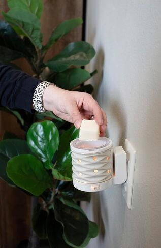 شركة ميلك هاوس كاندل سوق المزارعين يذوب شمع الصويا – الكشمش الأحمر | طماطم | معطر برائحة طحلب الحديقة - 5.5 أونصة، مصبوب يدويًا، صنع في الولايات المتحدة الأمريكية in Kuwait