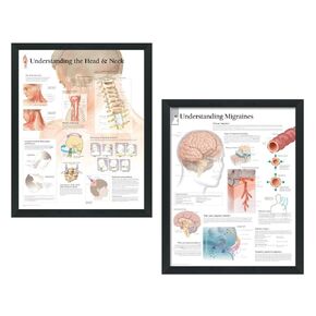 Set of 2 Framed Medical Posters Understanding The Head and Neck and Understanding Migraines 22"x28" Wall Diagrams Educational Informational Doctors Office Charts in Kuwait