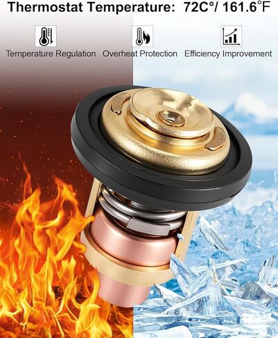 Outboard Thermostat Kit Fit for Honda BF20-BF130 4-Stroke Engines Replaces 19300-ZV5-043 with Gasket 19351-ZV5-000 in Saudi Arabia