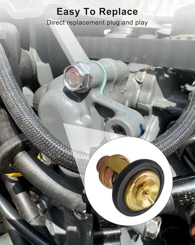 Outboard Thermostat Kit Fit for Honda BF20-BF130 4-Stroke Engines Replaces 19300-ZV5-043 with Gasket 19351-ZV5-000 in Saudi Arabia