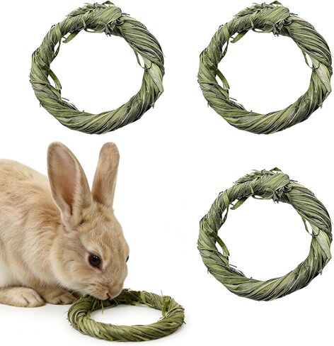 Rabbit Timothy Hay Toy Natural Guinea Pig Chew Grass Toys Small Animal Chew Treats for Teeth Rabbit Chew Toy Chinchilla Toys for Bunny Hamster Guinea Pigs Gerbil (8PCS) in Saudi Arabia