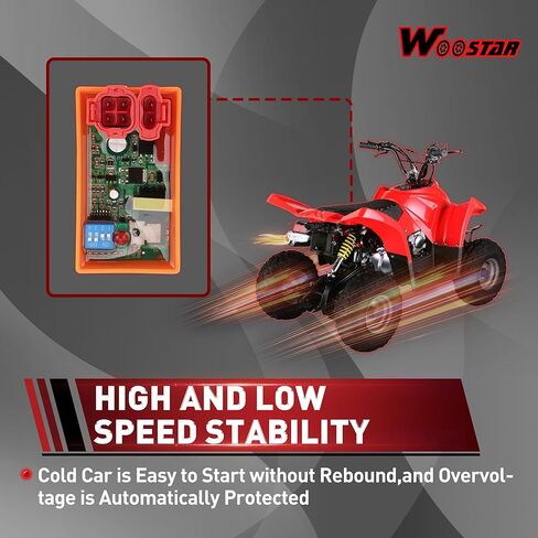 WOOSTAR 6 Pin DC CDI Box Replacement for GY6 50cc 70cc 90cc 110cc 125cc 150cc 200cc 250cc Engine Scooter ATV Go Kart Moped Quad Dune Buggy Pit Dirt Bike in Saudi Arabia