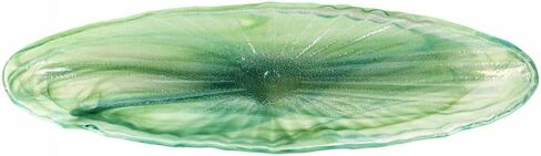 وعاء فيتري أوندا زجاجي طويل بيضاوي باللون الأخضر، مقاس 66 سم طولًا × 8 عرضًا، طبق تقديم على شكل عضوي منفوخ بالفم in Kuwait