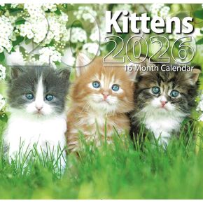 تقويم حائط كامل الحجم للقطط لعام 2026 للتخطيط والجدولة والتنظيم in Kuwait