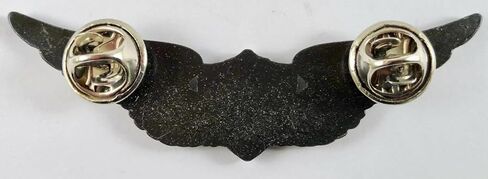 أجنحة WASP (طياريات خدمة القوات الجوية)، طيران عتيق من الحرب العالمية الثانية in Kuwait