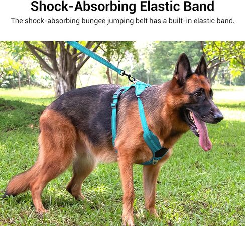 Shock-Absorbing Dog Leash for Medium/Large Breeds - Non-Slip Comfort Grip Handle, Anti-Pull Training Lead with Adjustable Slip Collar(4-5ft, Black) in Saudi Arabia