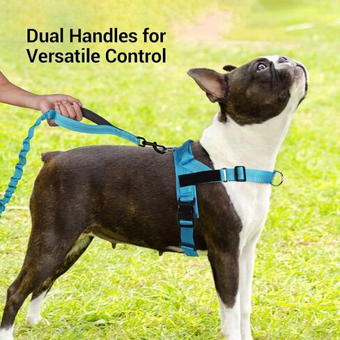 Shock-Absorbing Dog Leash for Medium/Large Breeds - Non-Slip Comfort Grip Handle, Anti-Pull Training Lead with Adjustable Slip Collar(4-5ft, Black) in Saudi Arabia