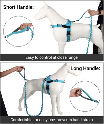 Shock-Absorbing Dog Leash for Medium/Large Breeds - Non-Slip Comfort Grip Handle, Anti-Pull Training Lead with Adjustable Slip Collar(4-5ft, Black) in Saudi Arabia