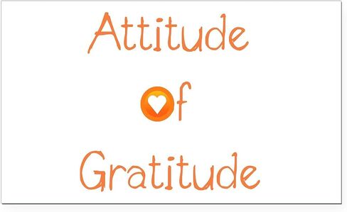 CafePress Attitude of Gratitude Rectangle Car Bumper Magnet in Saudi Arabia