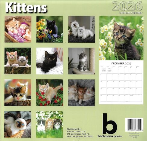 تقويم حائط كامل الحجم للقطط لعام 2026 للتخطيط والجدولة والتنظيم in Kuwait