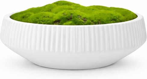 Macomine Design Moss Bowl | 12" Diameter | Artificial | Lightweight Ceramic | Fluted Bowl | Home Décor in Kuwait