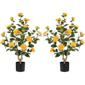 عبوتان من شجرة الكاميليا الاصطناعية، شجرة نباتات زهور اصطناعية مقاس 81.28 سم، شجرة زهور مزهرة مزهرة، خضرة واقعية بطول 3 أقدام مع أواني سوداء للمكتب الداخلي والخارجي وديكور المنزل (برتقالي) in Kuwait