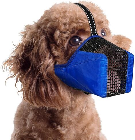 كمامة شبكية للكلاب، كمامة ناعمة قابلة للتنفس للكلاب مع أشرطة عاكسة لملاءمة آمنة، تمنع العض والمضغ - قابلة للتعديل للكلاب الصغيرة والمتوسطة والكبيرة، وردي، مقاس XL in Kuwait