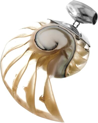 FifiRose Genuine Nautilus Shell Blue Color Resin Fill 925 Sterling Silver Pendant, 2 3/8" in Kuwait