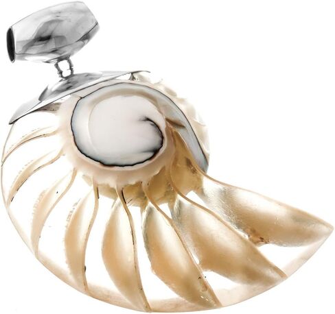 FifiRose Genuine Nautilus Shell Blue Color Resin Fill 925 Sterling Silver Pendant, 2 3/8" in Kuwait