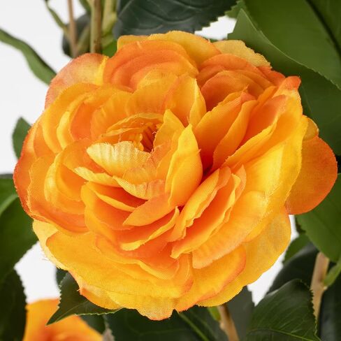 عبوتان من شجرة الكاميليا الاصطناعية، شجرة نباتات زهور اصطناعية مقاس 81.28 سم، شجرة زهور مزهرة مزهرة، خضرة واقعية بطول 3 أقدام مع أواني سوداء للمكتب الداخلي والخارجي وديكور المنزل (برتقالي) in Kuwait