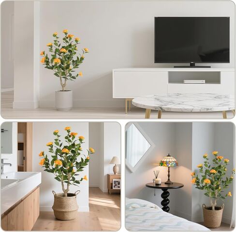 عبوتان من شجرة الكاميليا الاصطناعية، شجرة نباتات زهور اصطناعية مقاس 81.28 سم، شجرة زهور مزهرة مزهرة، خضرة واقعية بطول 3 أقدام مع أواني سوداء للمكتب الداخلي والخارجي وديكور المنزل (برتقالي) in Kuwait