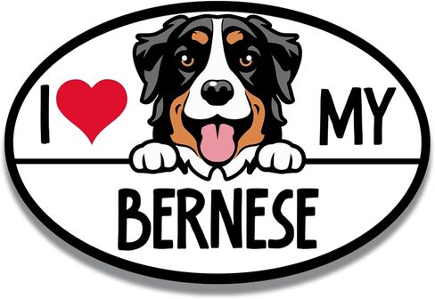 Magnet Me Up I Love My Bernese Dog Breed ملصق مغناطيسي للسيارة، طبيعة ودودة ومخلصة، ملصق مغناطيسي لطيف يطل على الكلب، سيارة، ثلاجة، خزائن وأكثر من ذلك، صُنع في الولايات المتحدة الأمريكية in Kuwait