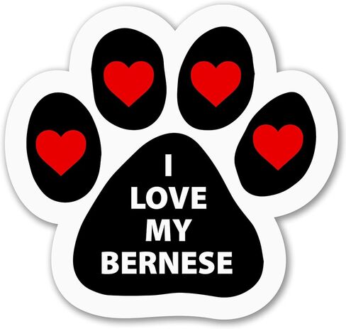 Magnet Me Up I Love My Bernese Dog Breed ملصق مغناطيسي للسيارة، طبيعة ودودة ومخلصة، ملصق مغناطيسي لطيف يطل على الكلب، سيارة، ثلاجة، خزائن وأكثر من ذلك، صُنع في الولايات المتحدة الأمريكية in Kuwait