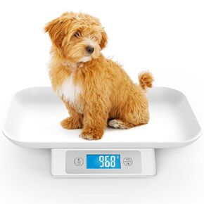 Small Animal and Pet Scale - Precise LCD Electronic Kitchen Scale for Cats, Hamsters, Hedgehogs, Tortoises, and Lizards (11in/33lb) in g/ml/oz/lb - White