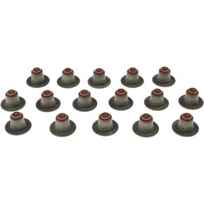 MAHLE SS45909 Engine Valve Stem Oil Seal Set