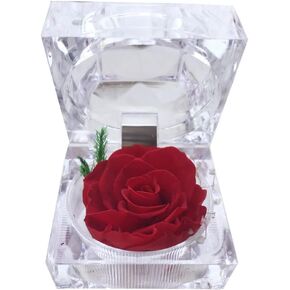 Preserved Rose Real Forever Rose in Mini Clear Ring Box, Eternal Flower Rose Gifts for Women Mom Girlfriend Grandma, Mothers Day, Anniversary, Valentines, Christmas, Birthday (Blue)