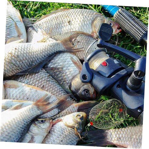 BESPORTBLE 20 PCS Metal Bait cage Fishing Bait Basket Fishing Basket carp Bait carp Lures cage Fishing Basket carp in Saudi Arabia