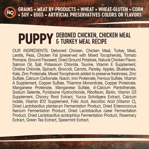 Wellness CORE Natural Grain Free Dry Dog Food, Puppy, 4-Pound Bag in Kuwait