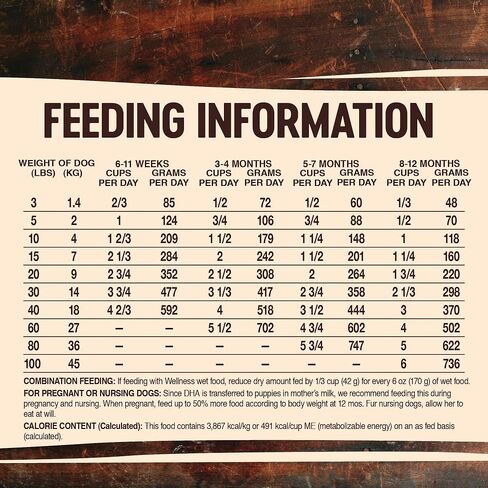 Wellness CORE Natural Grain Free Dry Dog Food, Puppy, 4-Pound Bag in Kuwait