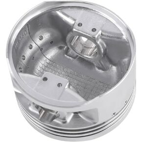 Cylinder Piston Gasket End Rebuild Kit Compatible With 1987-04 Warrior 350 YFM350 in Kuwait