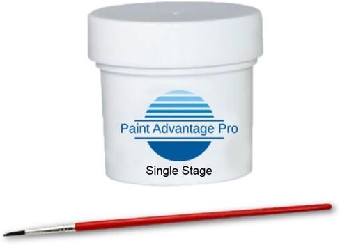 Paint For Harley Davidson DGX Sedona Orange 2oz Single Stage Touch Up Kit with Brush in Kuwait