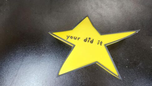 جائزة نجمة مرحة "Your Did It" - ديكور مكتب لطيف، هدية مضحكة للأصدقاء، زملاء العمل، التخرج، عيد الميلاد، حامل أقلام المكتب أو جائزة النصر الصغيرة in Saudi Arabia