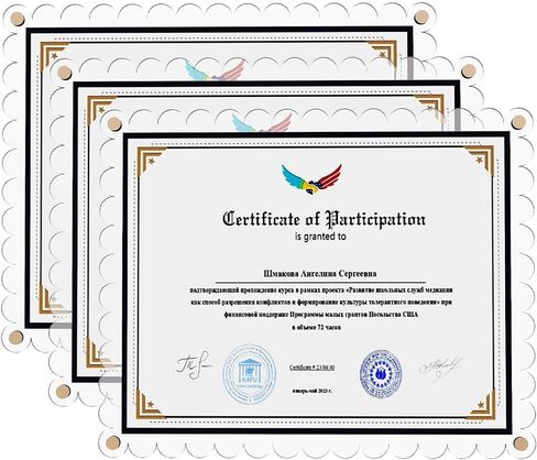 إطار الشهادة، إطار درجة شهادة دبلوم صورة مثبت على الحائط مقاس 8.5 × 11، إطار صورة أكريليك شفاف بدون حفر مع شريط لاصق ومسامير ذهبية للشهادة، زهور مضغوطة، مال، دبلوم، قطعة واحدة in Kuwait