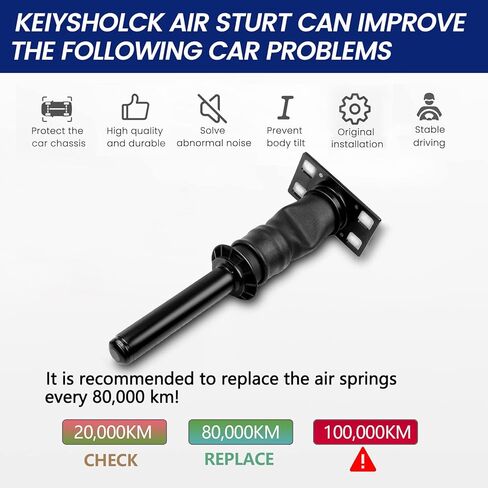 Rear Air Strut Suspension Compatible with International Harvester 2008-2017, OEM Number 3595977C96, 3595977C95, 3806428C91, SA66127,66127 in Saudi Arabia