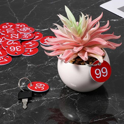1-100 بطاقة مفاتيح مرقمة، علامات أرقام بلاستيكية مع علامة تعريف معدنية حلقية للفنادق والمطاعم والمهاجع والخزائن وسلاسل المفاتيح - أحمر in Kuwait