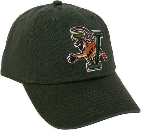 قبعة بيسبول جامعة صبار الصحراء من فيرمونت، قبعات UVM Catamounts ذات حواف مطرزة، قبعة قابلة للتعديل بحزام من القماش للكبار (النمط A) أخضر in Saudi Arabia