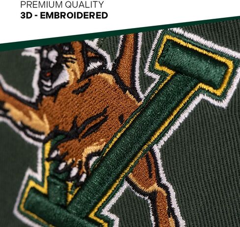 قبعة بيسبول جامعة صبار الصحراء من فيرمونت، قبعات UVM Catamounts ذات حواف مطرزة، قبعة قابلة للتعديل بحزام من القماش للكبار (النمط A) أخضر in Saudi Arabia