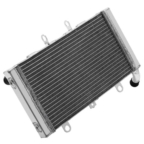 CB1300 98 99 00 01 02 CB1300F Superfour 03 04 05 CB1300A ABS 05-10 CB1300SA 05-13 08 09 11 12 Engine Radiator Cooling Cooler(CB1300SA 05-13) in Saudi Arabia