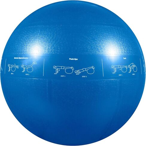 GoFit ProBall Stability Ball – Printed Exercise Ball for Yoga, Workout, Balance - Blue 55 cm,GF-55PRO in Kuwait