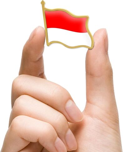 12/24/50/100 قطعة دبابيس علم إندونيسيا السائبة-معدن إندونيسي بروش شارة تذكارية للرجال ملابس حريمي أكياس القبعات in Saudi Arabia