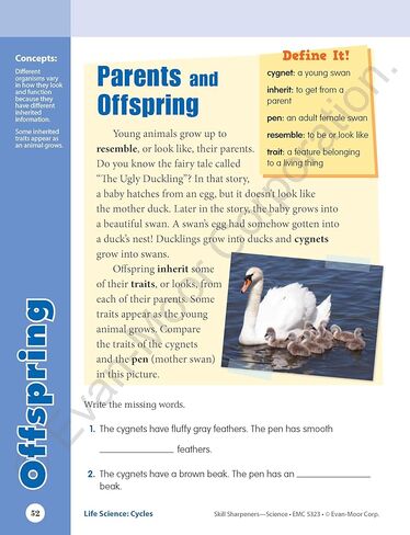 Even-Moor Workbook Skill Sharpeners Science, Grade 3 in Saudi Arabia